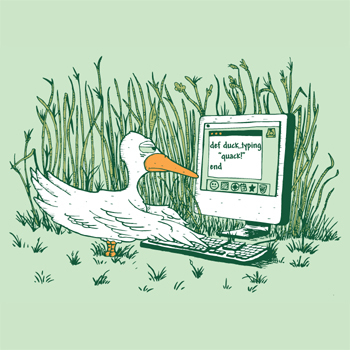 Duck Typing